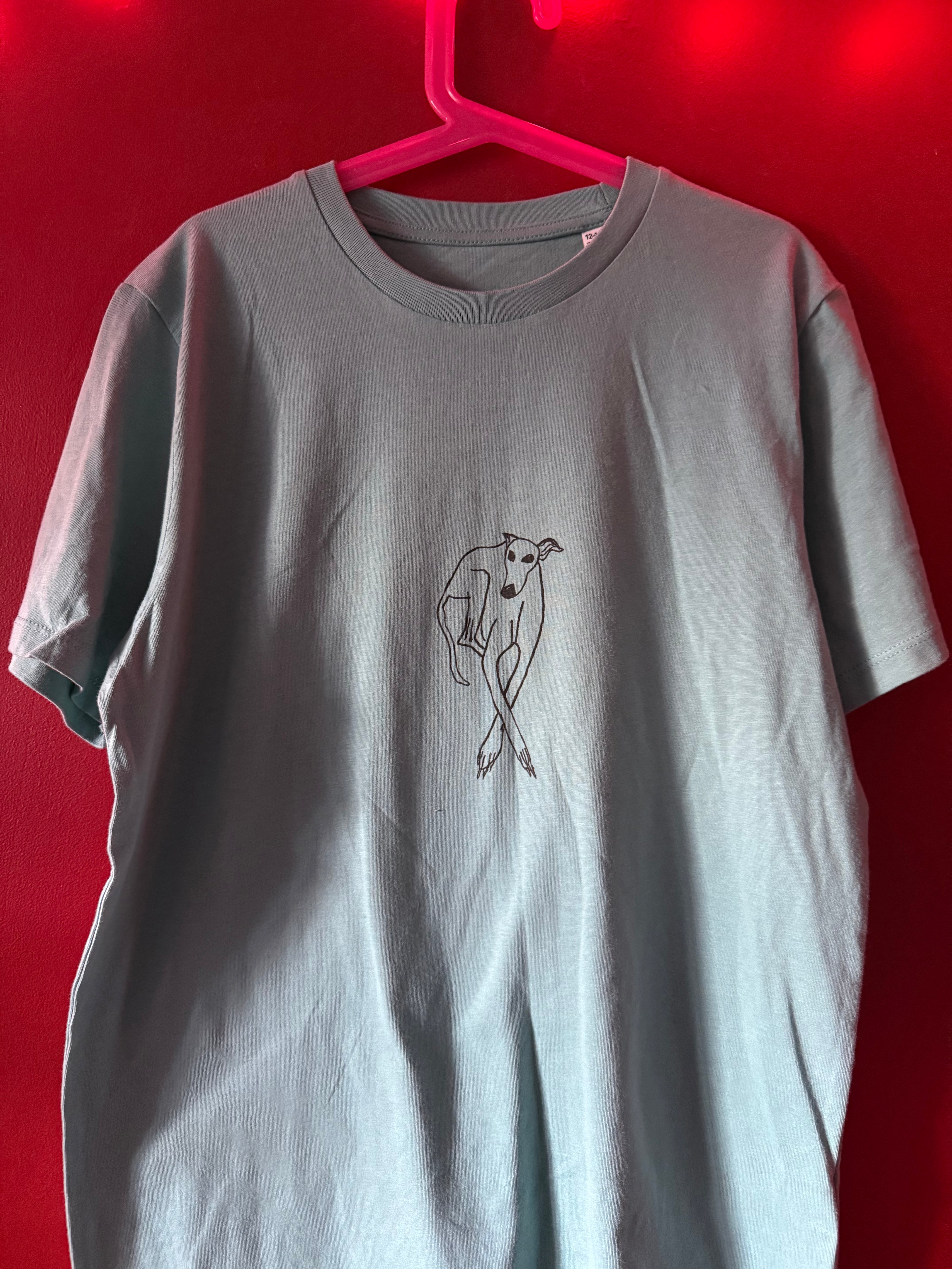 Crossed Paws Printed on Organic Teal T Shirt Age 12-14 Years