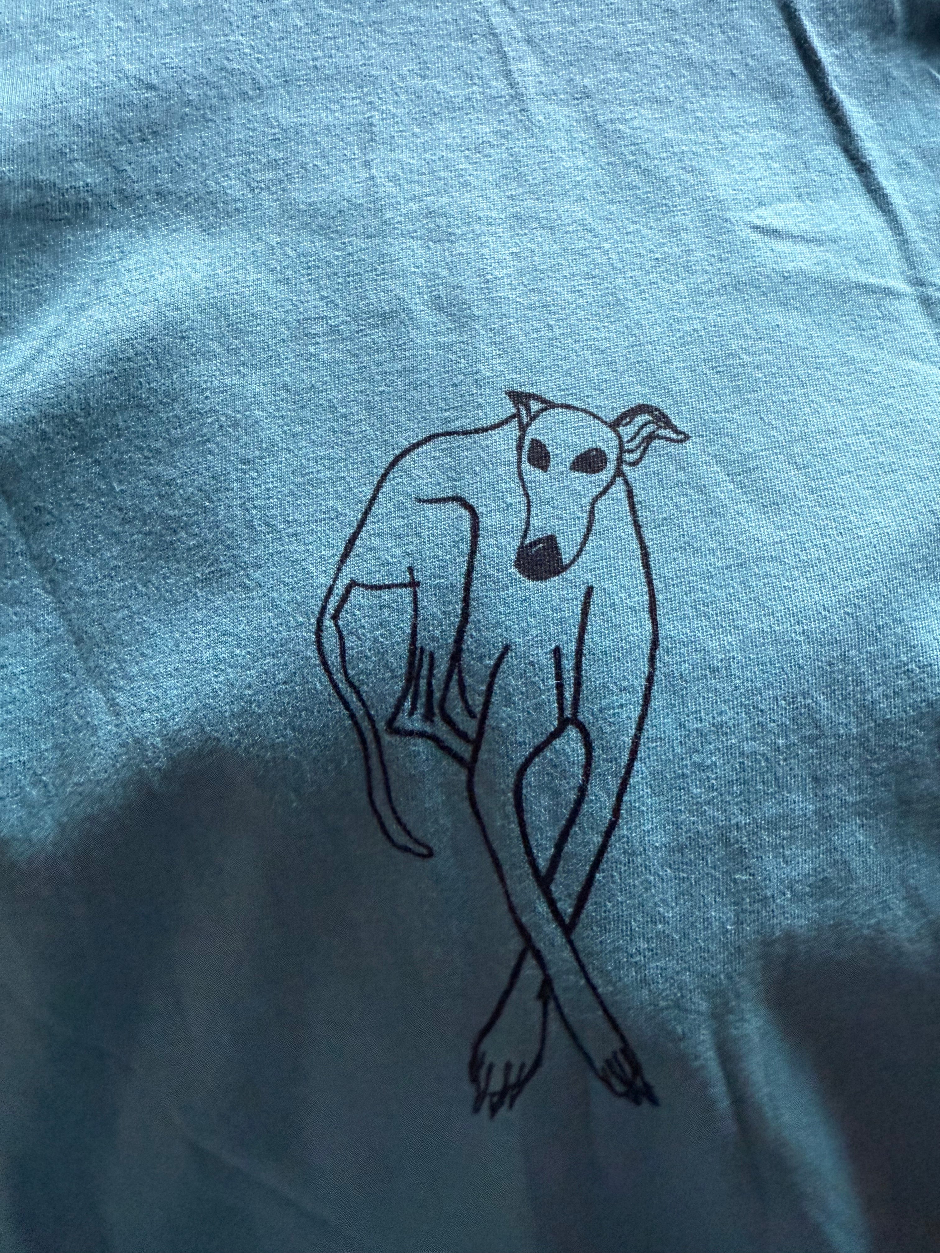 Crossed Paws Printed on Organic Teal T Shirt Age 12-14 Years
